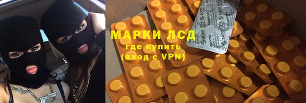 ГАЛЛЮЦИНОГЕННЫЕ ГРИБЫ Алзамай