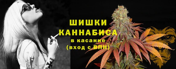 ГАЛЛЮЦИНОГЕННЫЕ ГРИБЫ Алзамай