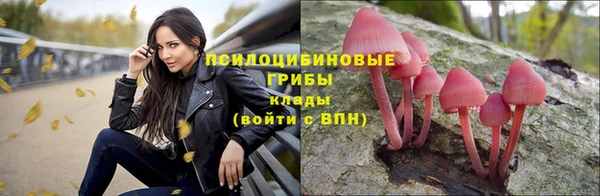 марки lsd Алексеевка