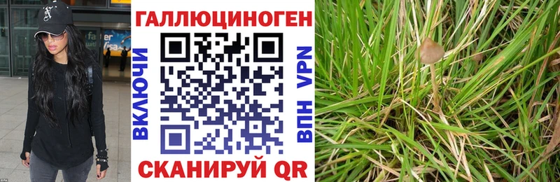 наркотики  mega зеркало  Галлюциногенные грибы мухоморы  Солигалич 